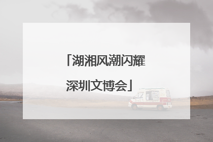 湖湘风潮闪耀深圳文博会