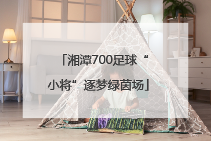 湘潭700足球“小将”逐梦绿茵场