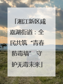 湘江新区咸嘉湖街道：全民共筑“青春防毒墙” 守护无毒未来
