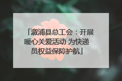 溆浦县总工会：开展暖心关爱活动 为快递员权益保障护航