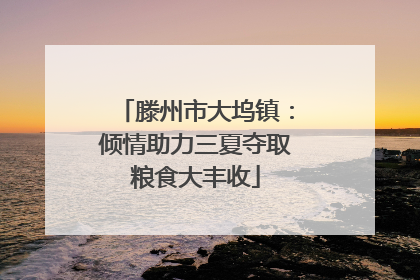 滕州市大坞镇：倾情助力三夏夺取粮食大丰收