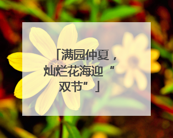 满园仲夏，灿烂花海迎“双节”