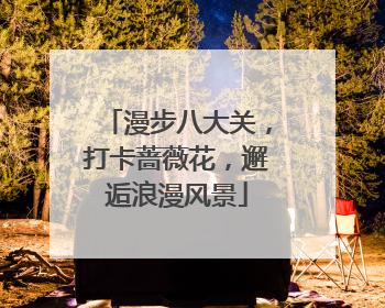 漫步八大关，打卡蔷薇花，邂逅浪漫风景