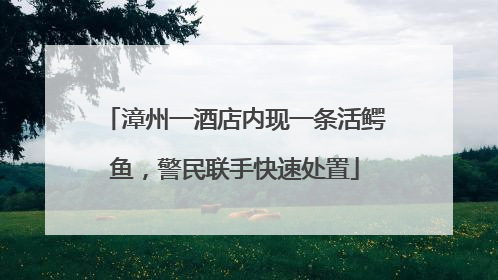 漳州一酒店内现一条活鳄鱼，警民联手快速处置