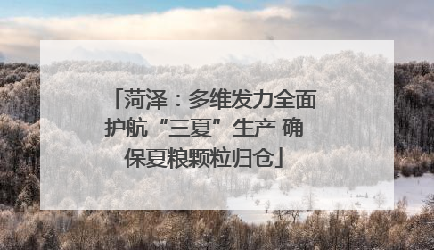 菏泽：多维发力全面护航“三夏”生产 确保夏粮颗粒归仓