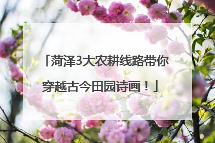 菏泽3大农耕线路带你穿越古今田园诗画！
