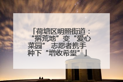 荷塘区明照街道：“撂荒地”变“爱心菜园” 志愿者携手种下“增收希望”