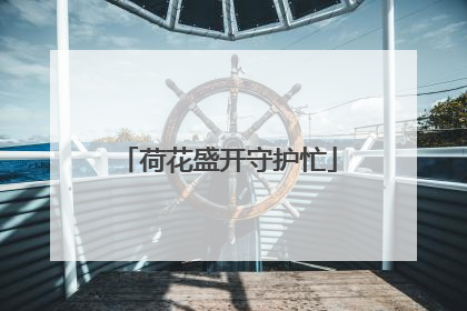 荷花盛开守护忙