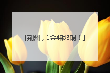 荆州，1金4银3铜！