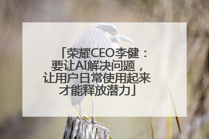 荣耀CEO李健：要让AI解决问题，让用户日常使用起来才能释放潜力