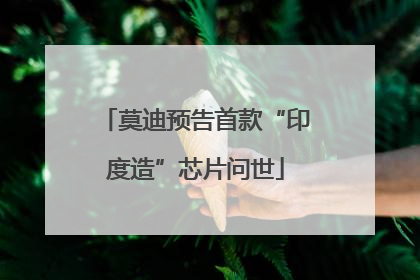 莫迪预告首款“印度造”芯片问世