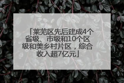 莱芜区先后建成4个省级、市级和10个区级和美乡村片区，综合收入超7亿元