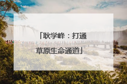 耿学峰：打通草原生命通道