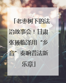 老枣树下的法治故事会！甘肃张掖临泽用“乡音”奏响普法新乐章