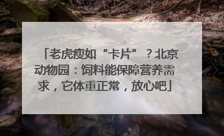 老虎瘦如“卡片”？北京动物园：饲料能保障营养需求，它体重正常，放心吧