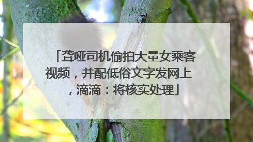 聋哑司机偷拍大量女乘客视频，并配低俗文字发网上，滴滴：将核实处理
