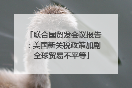 联合国贸发会议报告：美国新关税政策加剧全球贸易不平等