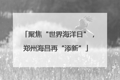 聚焦“世界海洋日”，郑州海昌再“添新”