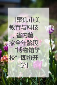 聚焦审美教育与科技，省内第一家全年龄段“博物馆学校”即将开学