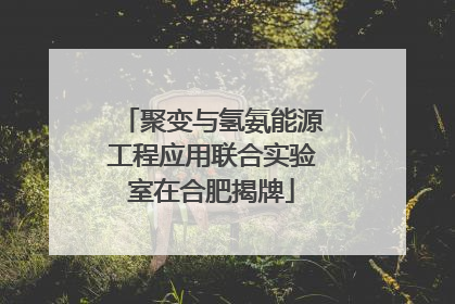 聚变与氢氨能源工程应用联合实验室在合肥揭牌