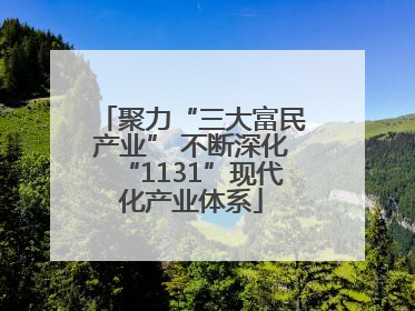 聚力“三大富民产业” 不断深化“1131”现代化产业体系