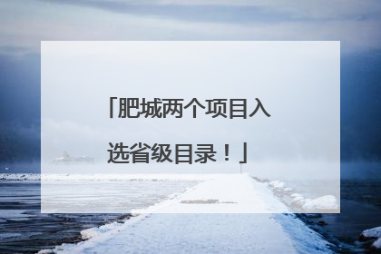 肥城两个项目入选省级目录！