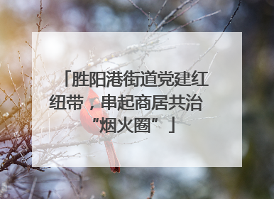 胜阳港街道党建红纽带，串起商居共治 “烟火圈”