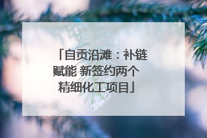 自贡沿滩：补链赋能 新签约两个精细化工项目