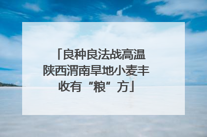 良种良法战高温 陕西渭南旱地小麦丰收有“粮”方