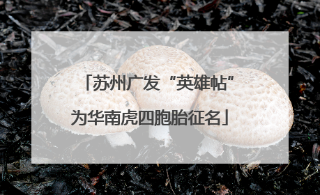 苏州广发“英雄帖”为华南虎四胞胎征名