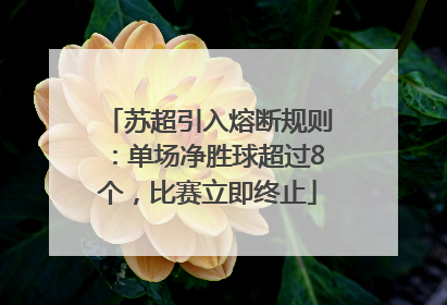 苏超引入熔断规则：单场净胜球超过8个，比赛立即终止