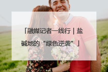 融媒记者一线行｜盐碱地的“绿色逆袭”