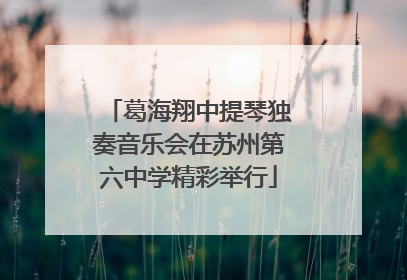 葛海翔中提琴独奏音乐会在苏州第六中学精彩举行