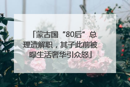 蒙古国“80后”总理遭解职，其子此前被曝生活奢华引众怒