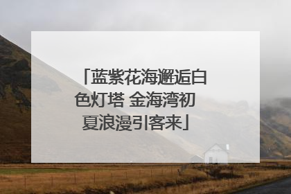 蓝紫花海邂逅白色灯塔 金海湾初夏浪漫引客来
