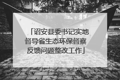 诏安县委书记实地督导省生态环保督察反馈问题整改工作