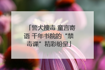 警犬搜毒 童言寄语 千年书院的“禁毒课”精彩纷呈
