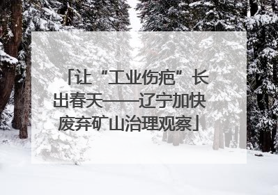 让“工业伤疤”长出春天——辽宁加快废弃矿山治理观察