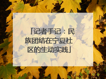 记者手记：民族团结在宁夏社区的生动实践