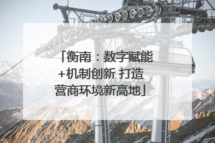衡南：数字赋能+机制创新 打造营商环境新高地