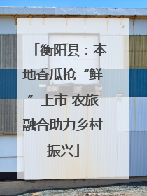 衡阳县：本地香瓜抢“鲜”上市 农旅融合助力乡村振兴