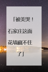 被美哭！石家庄这面花墙藏不住了