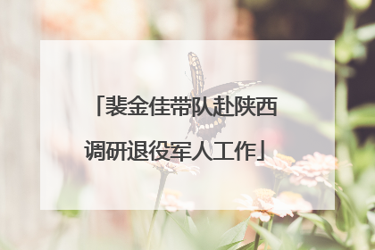 裴金佳带队赴陕西调研退役军人工作