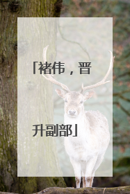 褚伟，晋升副部