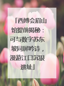西博会眉山馆提前揭秘：可与数字苏东坡同屏吟诗，漫游江口沉银遗址