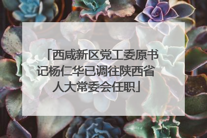 西咸新区党工委原书记杨仁华已调往陕西省人大常委会任职