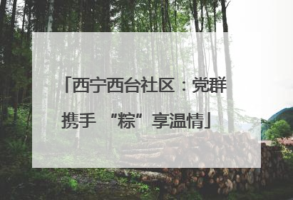西宁西台社区：党群携手 “粽”享温情