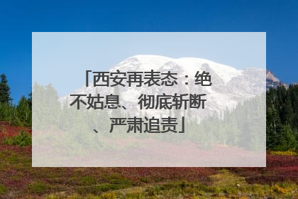西安再表态：绝不姑息、彻底斩断、严肃追责