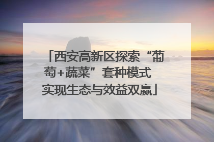 西安高新区探索“葡萄+蔬菜”套种模式 实现生态与效益双赢