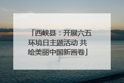 西峡县：开展六五环境日主题活动 共绘美丽中国新画卷